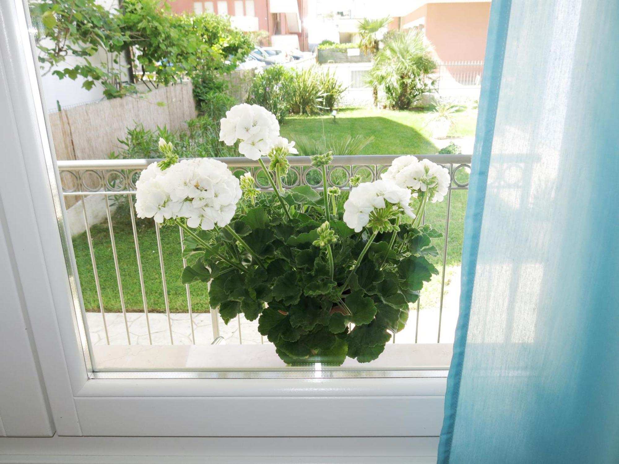 Residence Amarein Каорле Екстериор снимка