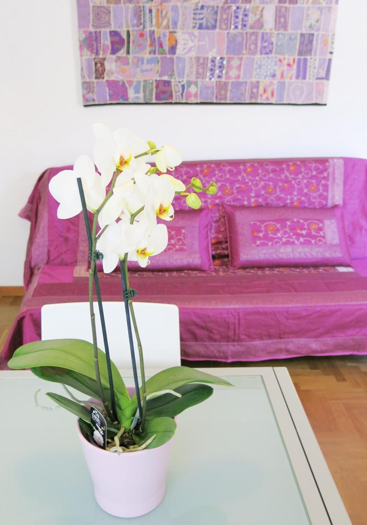 Residence Amarein Каорле Екстериор снимка